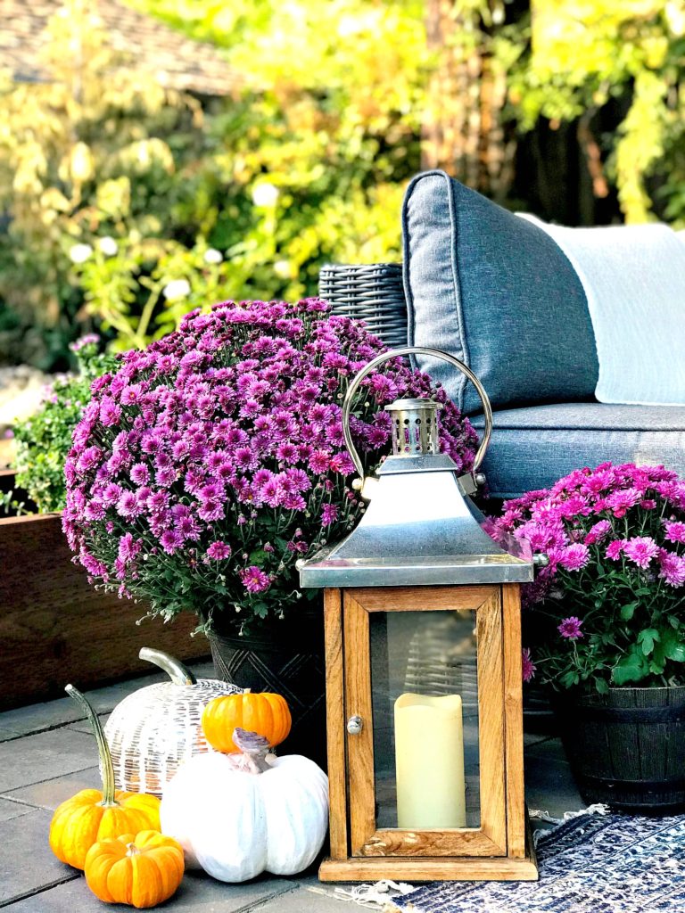 Cozy Fall Patio Inspo